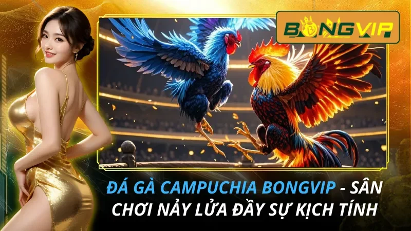 Đá Gà Campuchia