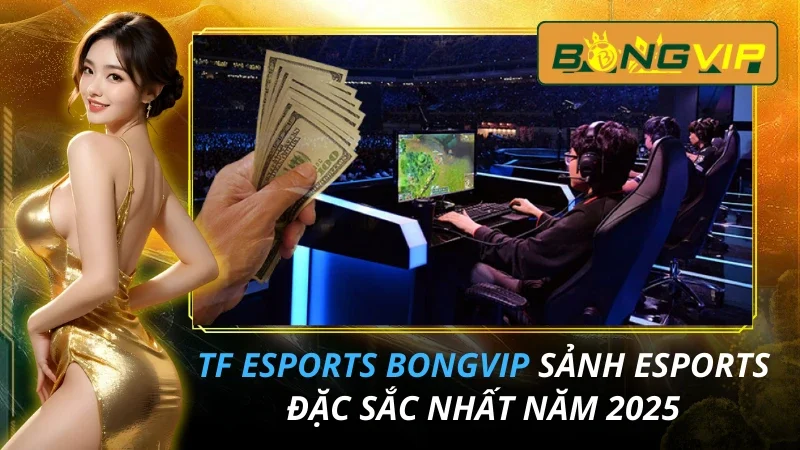 TF Esports